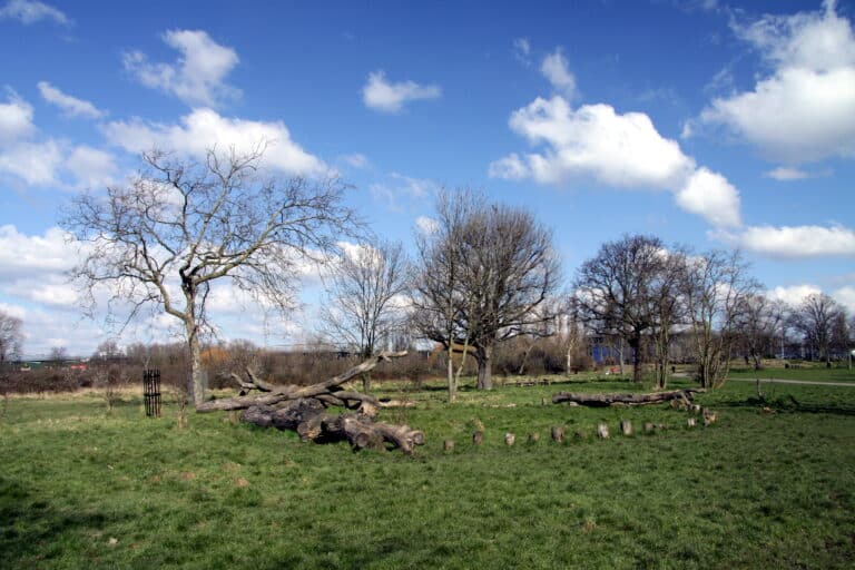 Green open parkland at Little Wormwood Scrubs in spring