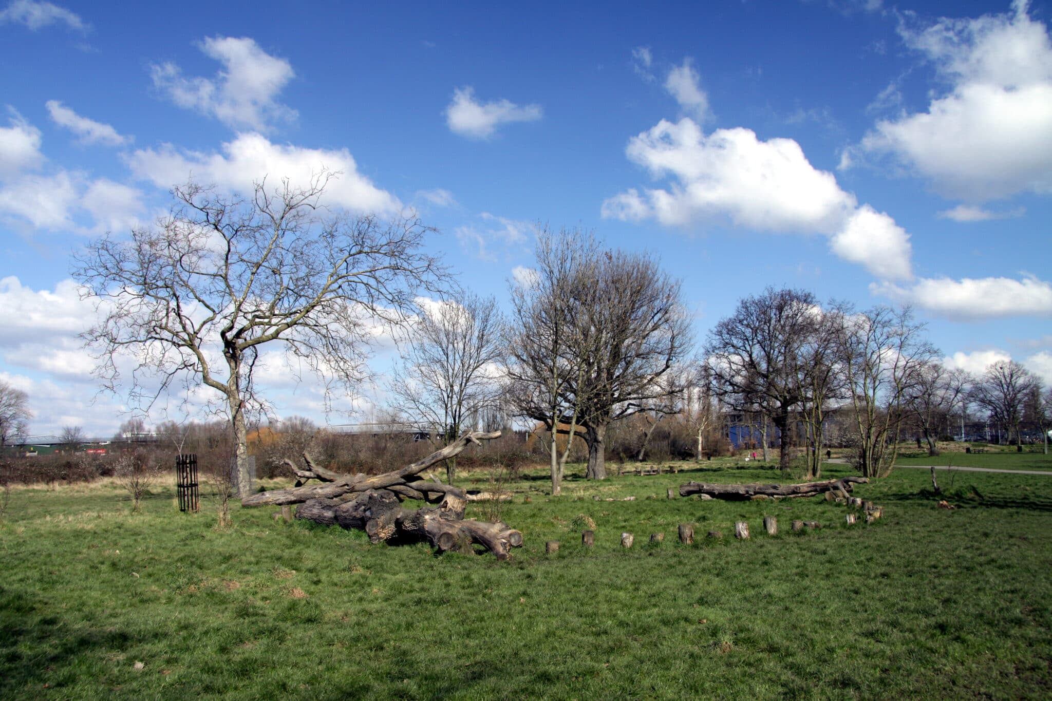 Green open parkland at Little Wormwood Scrubs in spring